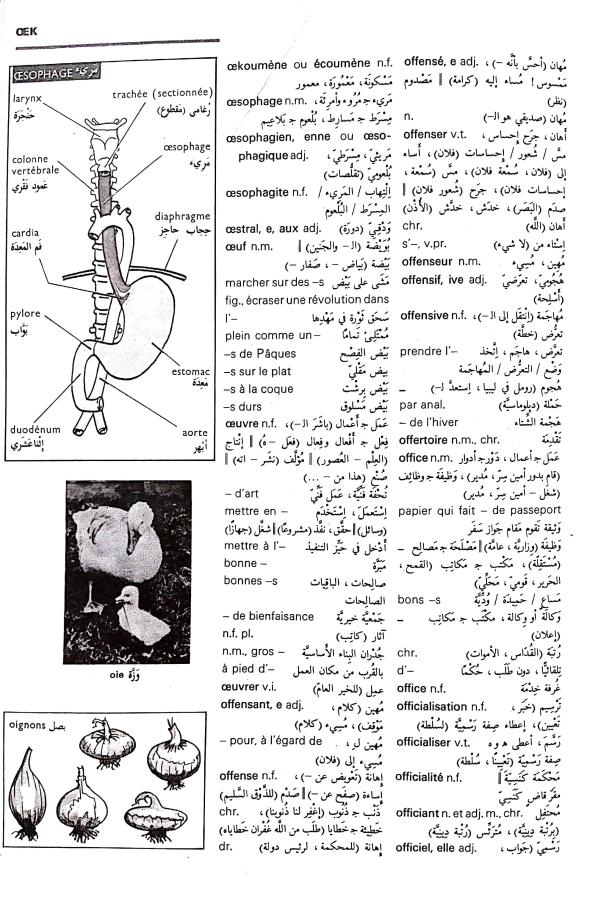 اضغط على الصورة لعرض أكبر. 

الإسم:	مستند جديد 09-09-2024 13.51_1.jpg 
مشاهدات:	3 
الحجم:	125.8 كيلوبايت 
الهوية:	235583