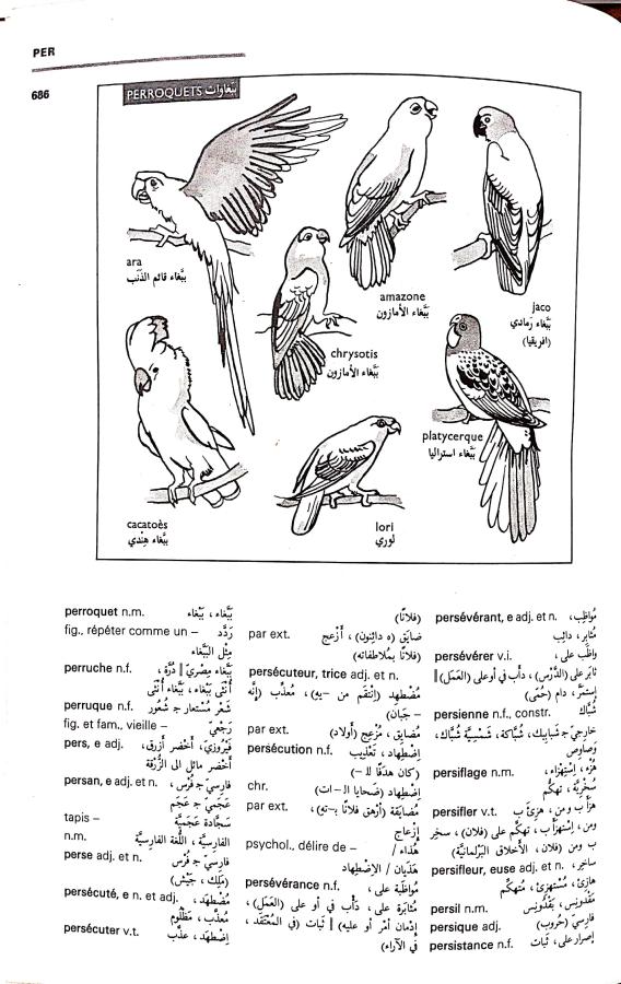 اضغط على الصورة لعرض أكبر. 

الإسم:	مستند جديد 09-09-2024 14.11 (1)_1.jpg 
مشاهدات:	4 
الحجم:	95.7 كيلوبايت 
الهوية:	235639