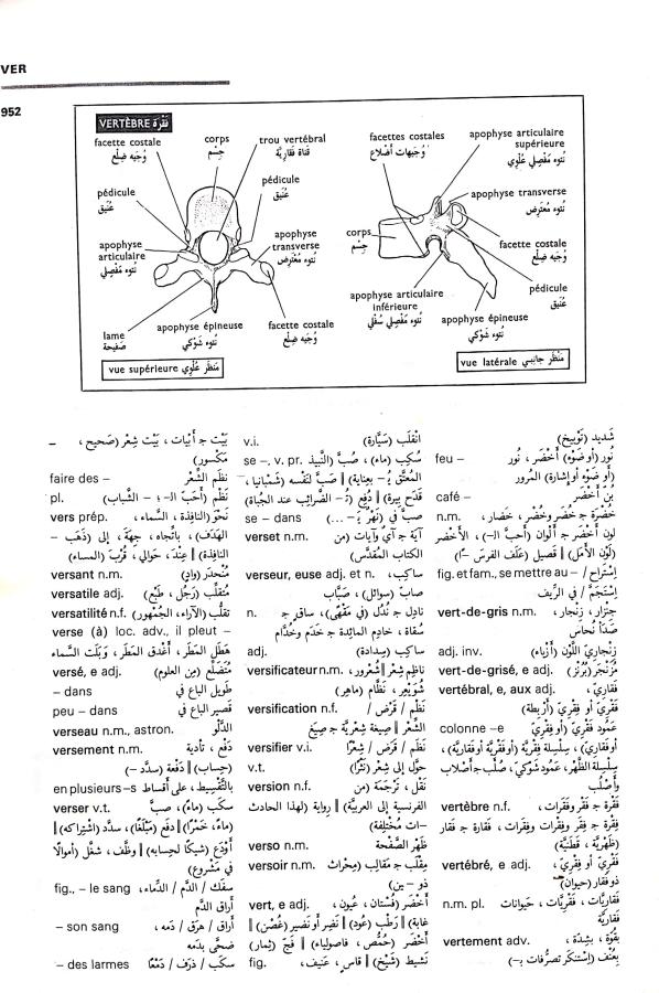 اضغط على الصورة لعرض أكبر. 

الإسم:	مستند جديد 16-09-2024 10.27_1.jpg 
مشاهدات:	6 
الحجم:	107.9 كيلوبايت 
الهوية:	236381