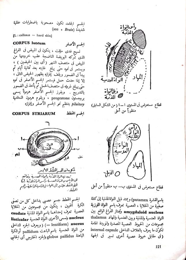 اضغط على الصورة لعرض أكبر. 

الإسم:	مستند جديد 22-10-2024 16.02 (1)_1.jpg 
مشاهدات:	5 
الحجم:	102.6 كيلوبايت 
الهوية:	242572