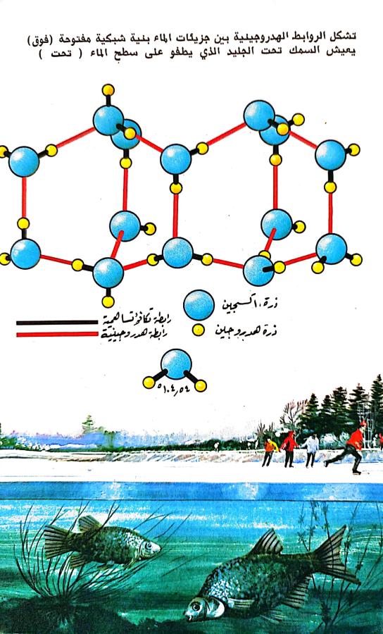 اضغط على الصورة لعرض أكبر. 

الإسم:	1731842412385.jpg 
مشاهدات:	2 
الحجم:	90.3 كيلوبايت 
الهوية:	246509