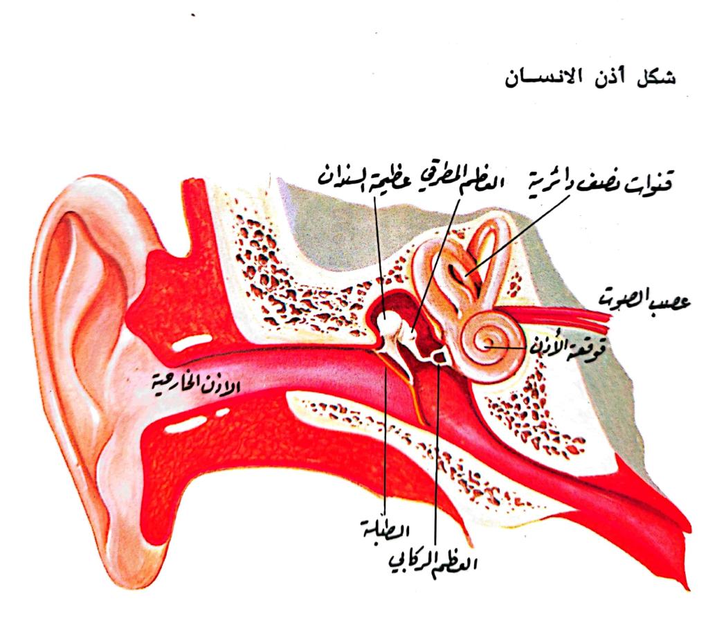 اضغط على الصورة لعرض أكبر.   الإسم:	1732023007233.jpg  مشاهدات:	0  الحجم:	112.1 كيلوبايت  الهوية:	246879