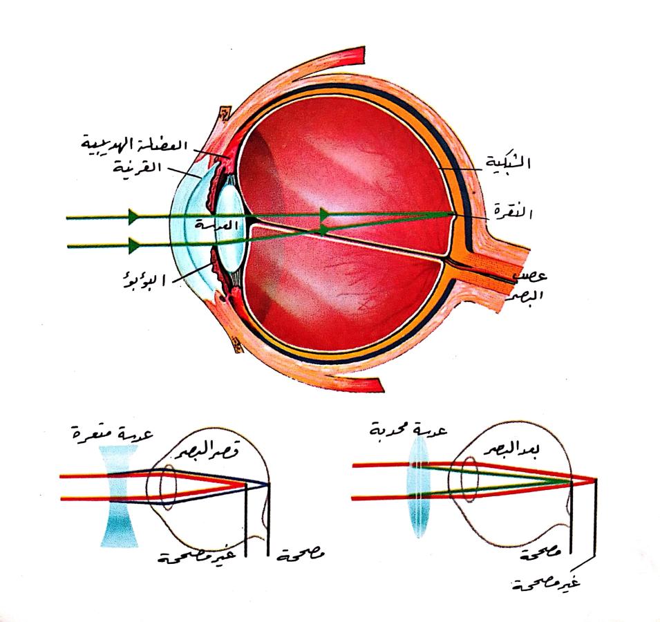 اضغط على الصورة لعرض أكبر.   الإسم:	CamScanner 22-11-2024 15.08_1.jpg  مشاهدات:	0  الحجم:	93.2 كيلوبايت  الهوية:	247203